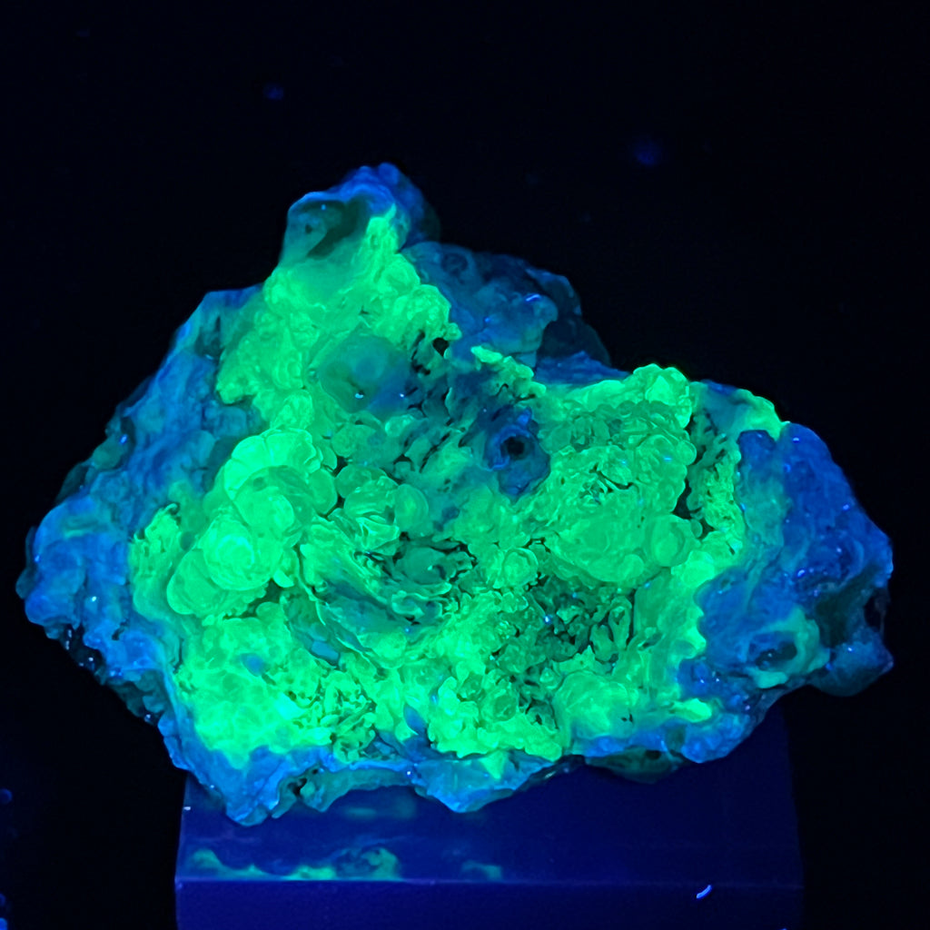 This excellent Hyalite Opal specimen fluoresces with a bright yellow green glow when exposed to UV light. 