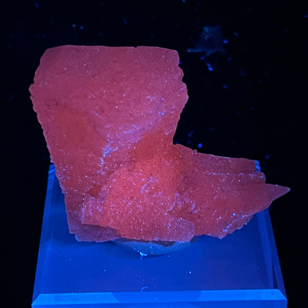 When exposed to UV light this fine specimen fluoresces, glows a pleasing pinkish-orange. The source for this fascinating, unusual Calcite is the Vtoroy Sovetskiy Mine, Dalnegorsk, Russia.
