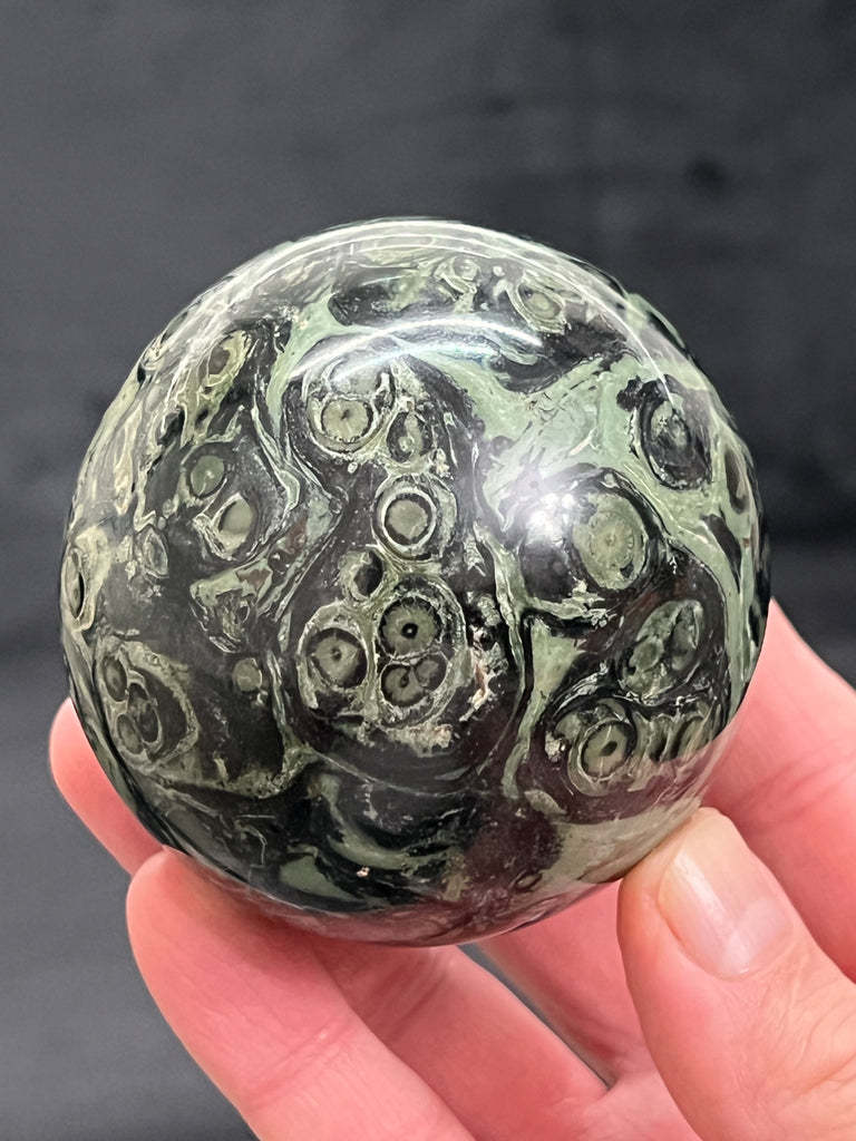 Viewed from any angle, this is a truly excellent Kambaba sphere, exhibiting exceptional swirling and orbicular looking Rhyolitic patterns.