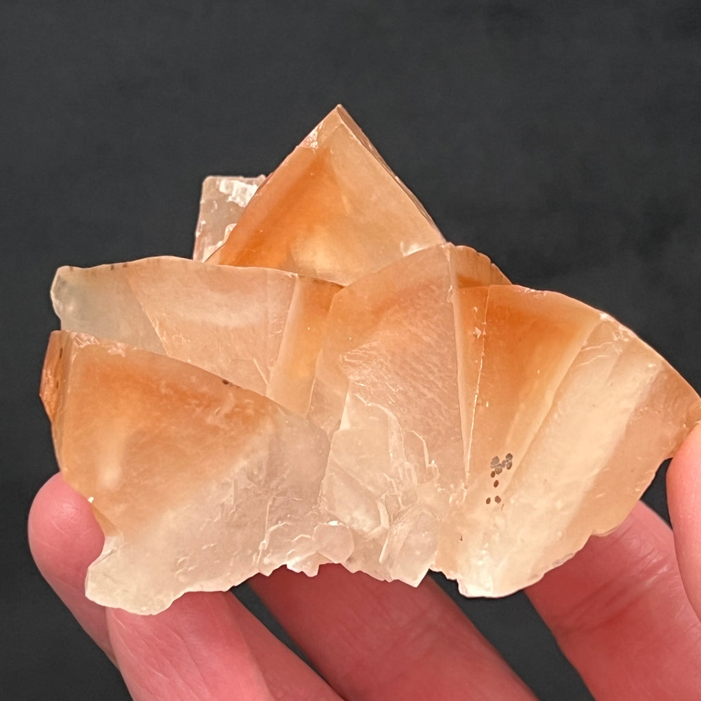 This is a less common, beautiful example of scalenohedral, large dog tooth Calcite crystals, often referred to as "Mariposa" or Butterfly Calcite, presenting with phantoms, inclusions and two phases of growth. 