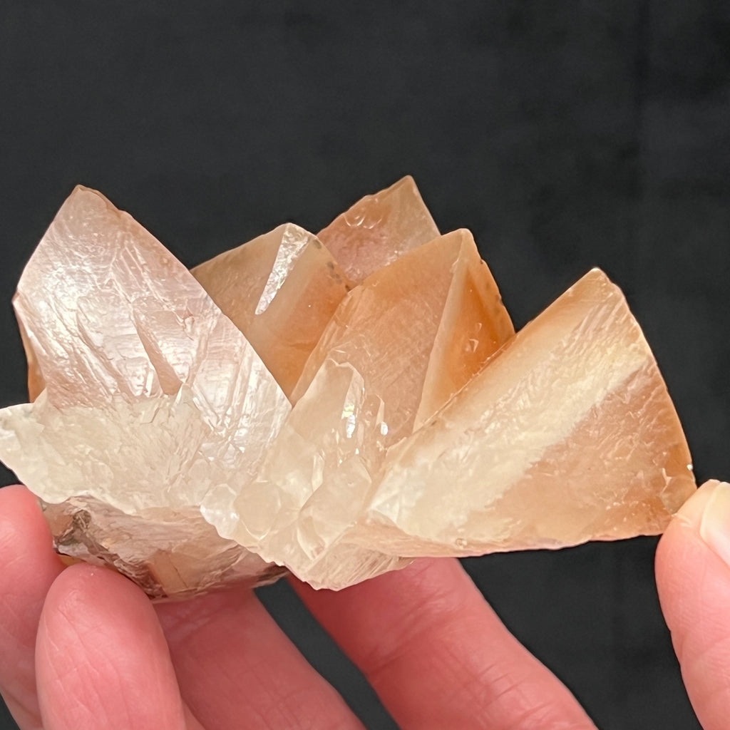 The luster emanating from the surface of these Calcite crystals is excellent, giving the crystals in this specimen an overall shiny appearance. 