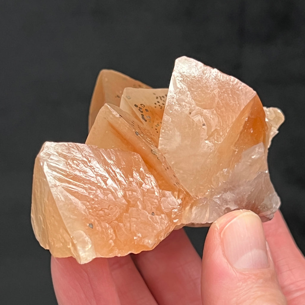 This Calcite specimen comes from a recently discovered pocket of the material found about 850 meters below the surface at the Buena Tierra Mine. The last pocket was found in 2014 to 2015. Before that this form of Calcite was found about 30 years ago.