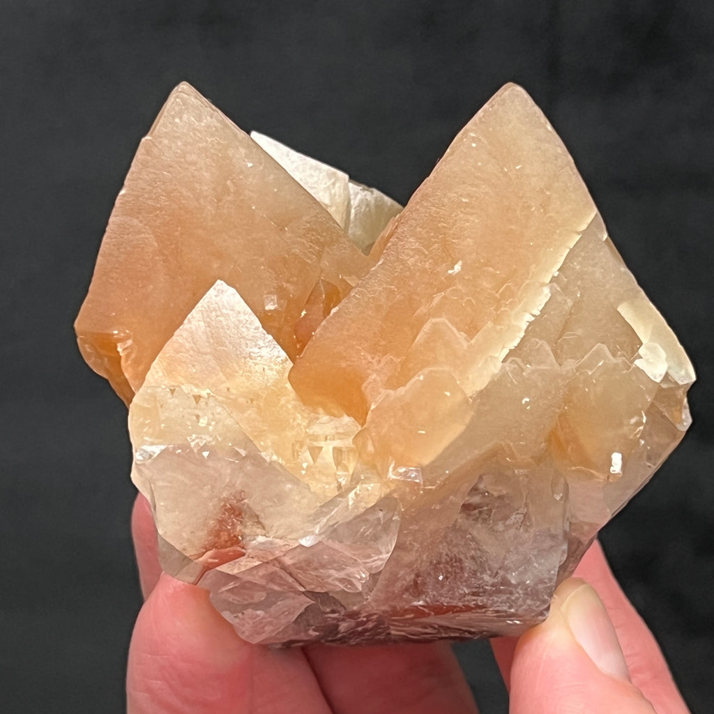 This is a less common, beautiful example of scalenohedral, large dog tooth Calcite crystals, often referred to as Mariposa or Butterfly Calcite, presenting with phantoms, inclusions and two phases of growth.