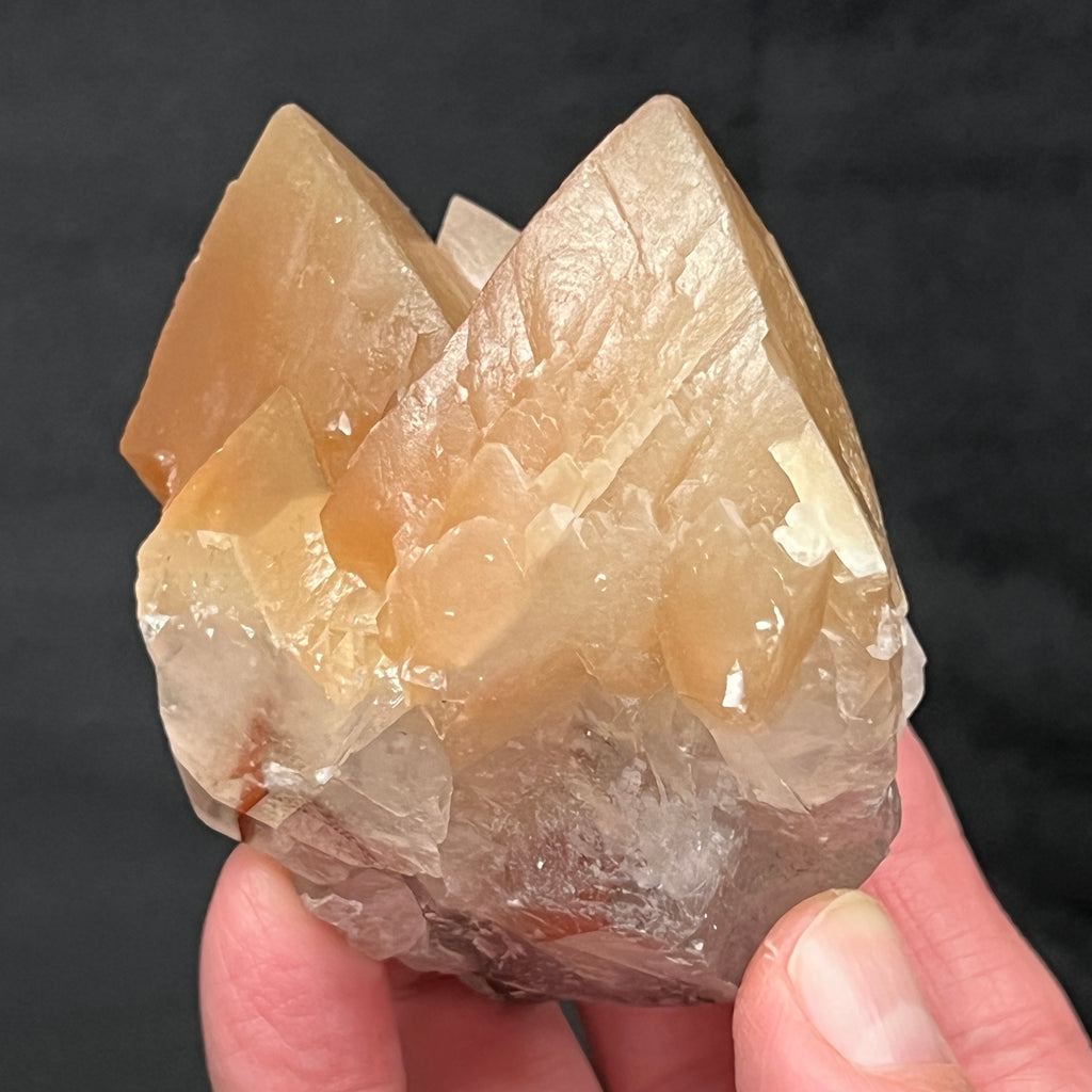 The gorgeous orangish-brown to honey-caramel color presenting in these beautiful Calcite crystals is from the influence and inclusion of Hematite and or iron oxide.