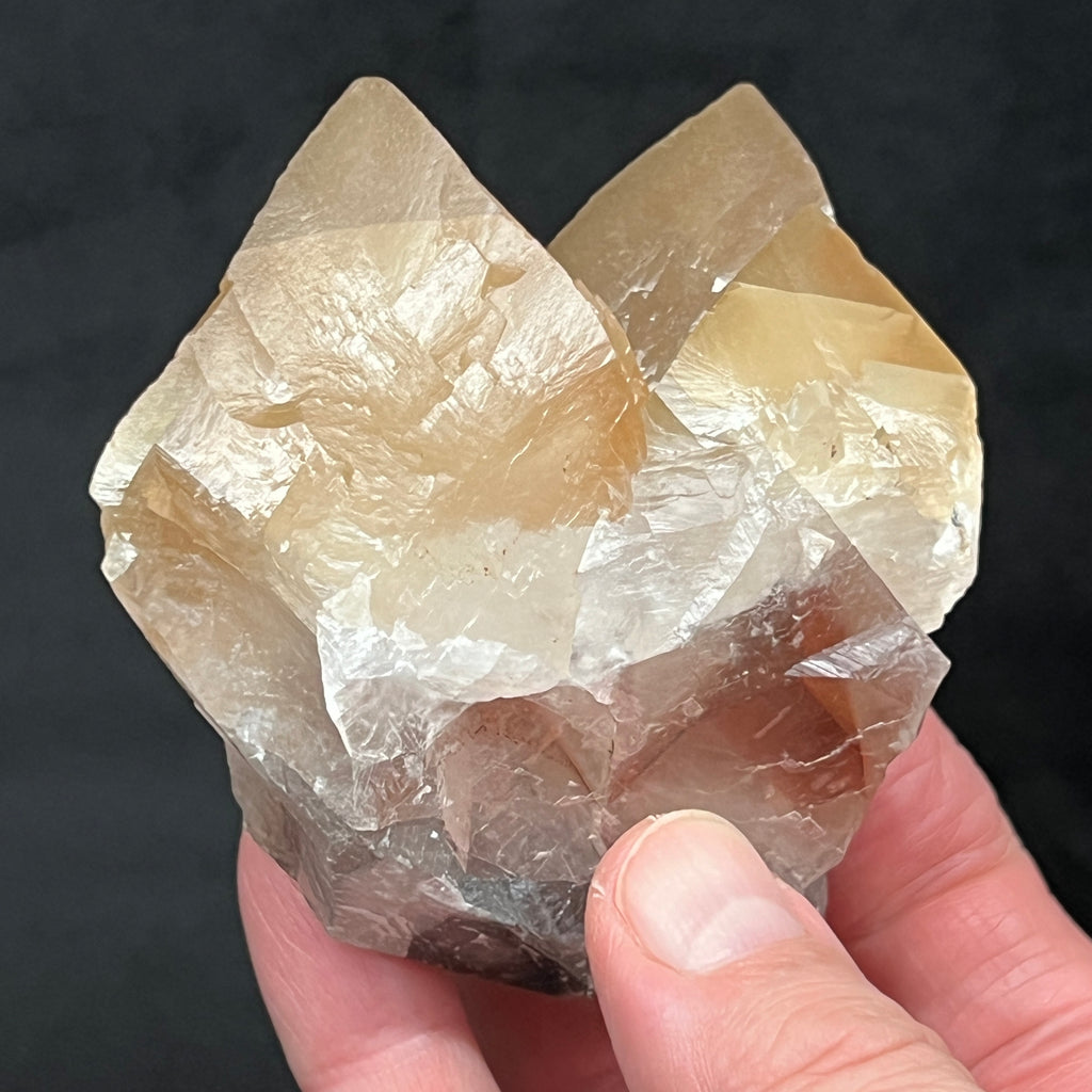 The last pocket of Mariposa Calcite from the Santa Eulalia District in Mexico was found in 2014 to 2015. Before that this form of Calcite was found about 30 years ago.