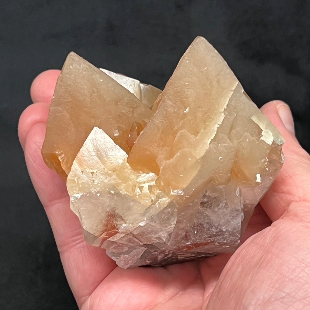 The source or location for this beautiful example of scalenohedral, large dog tooth Calcite crystals, often referred to as Mariposa or Butterfly Calcite, is the Buena Tierra Mine, Francisco Portillo, Santa Eulalia District, Mexico.
