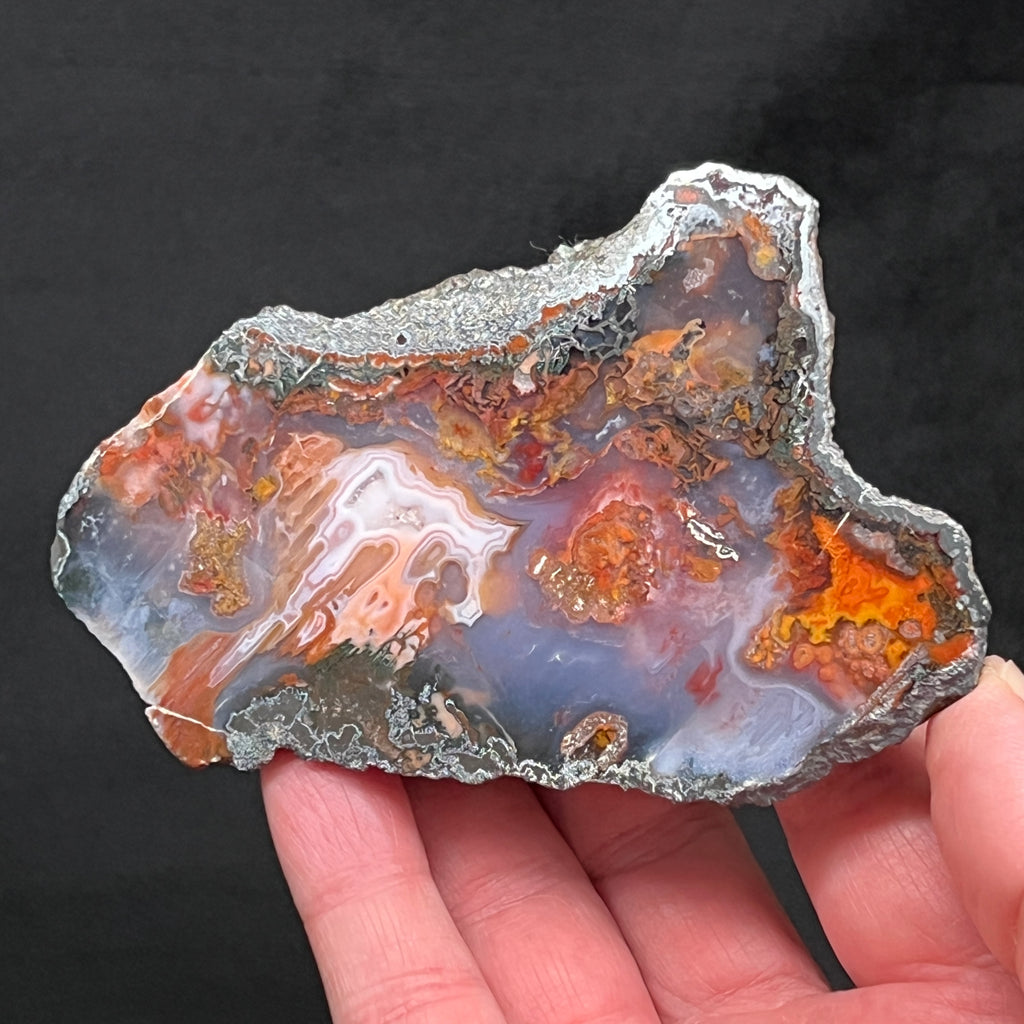 This is an exceptional, Hematite included, quality Moroccan Agate specimen, polished on one side, that presents with banding, fortification, with colorful mossy occurrences.