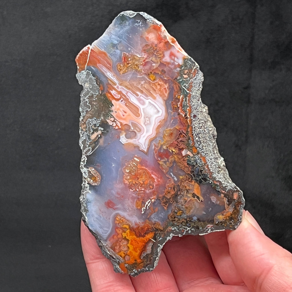 This gorgeous, colorful agate is from the volcanic outcrops in and near Asni Cercle, Al Haouz Province, Marrakesh - Tensift El Haouz Region, Morocco. 
