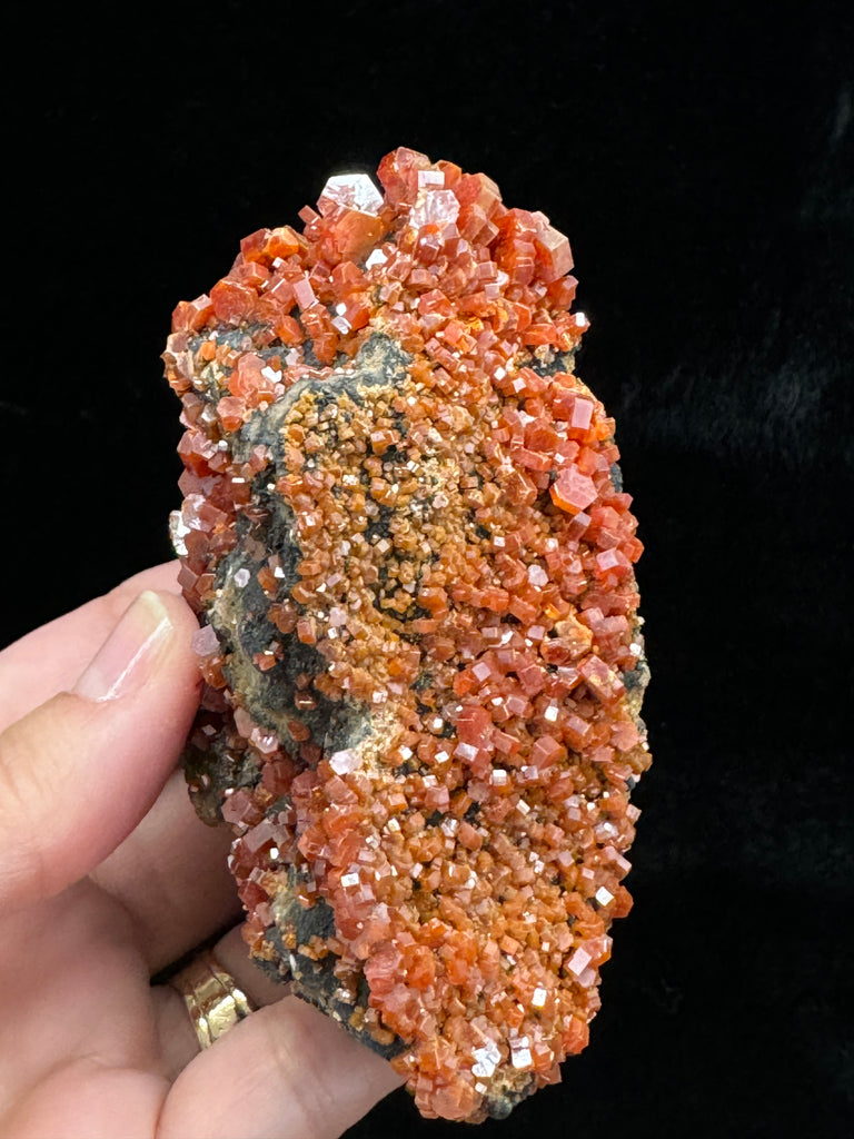 Vanadinite Crystals On Manganese Coated Goethite 177 grams