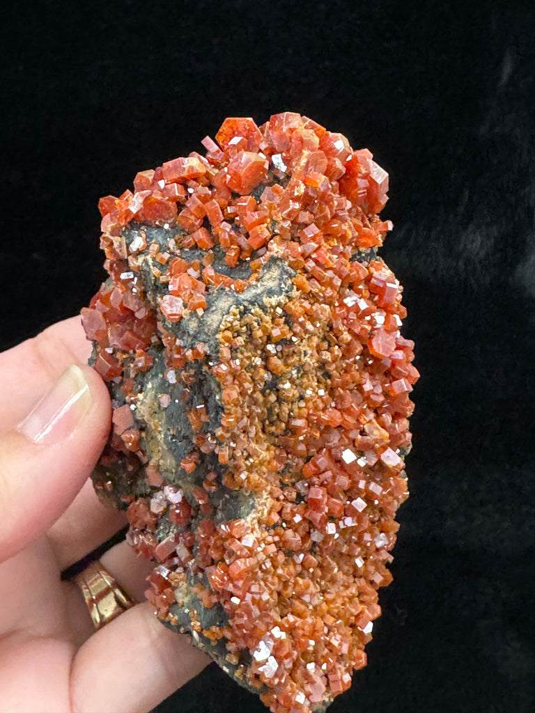 Vanadinite Crystals On Manganese Coated Goethite 177 grams