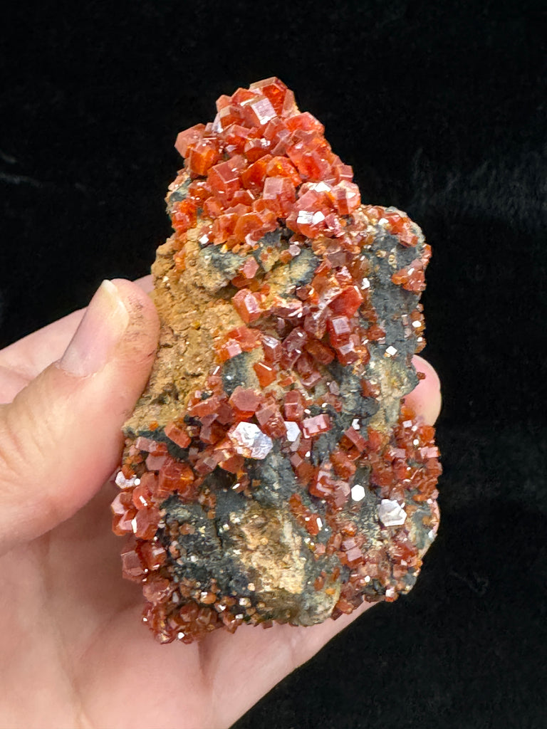 Vanadinite Crystals On Manganese Coated Goethite 177 grams