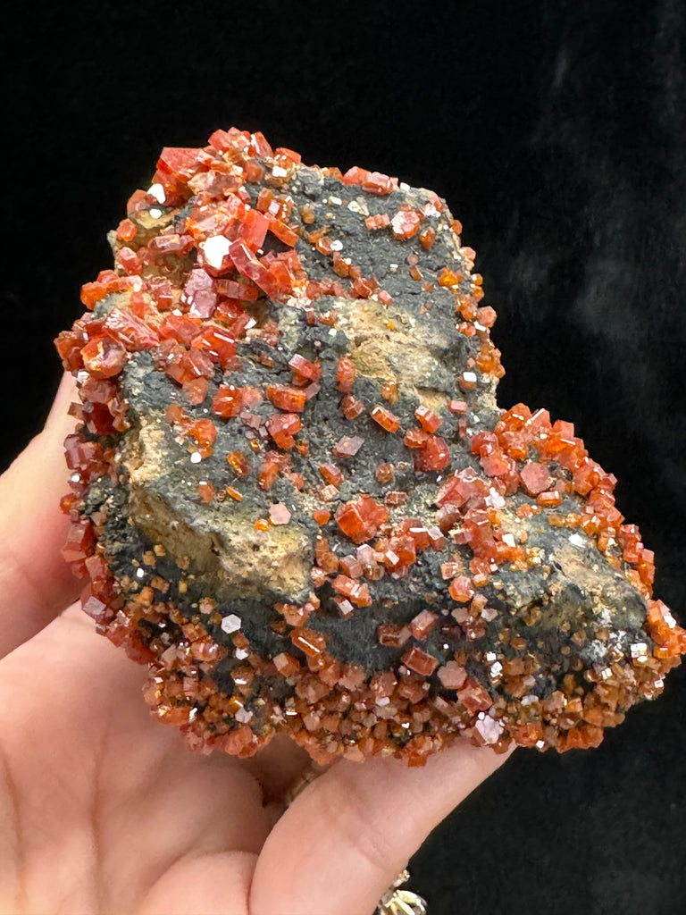 Vanadinite Crystals On Manganese Coated Goethite 177 grams