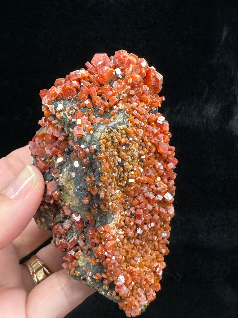 Vanadinite Crystals On Manganese Coated Goethite 177 grams