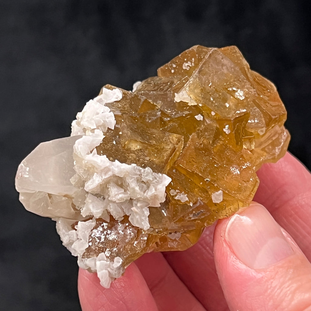 This is a terrific mingling of multiple minerals from Spain with rich, deep yellow Fluorite that is honey-like in color, representative of a higher quality specimen!