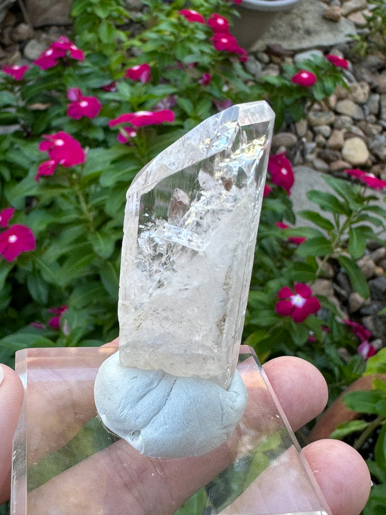 Danburite with Nice Clarity Gem Crystal 28grams! Gift for Collectors or Mineral Enthusiasts.