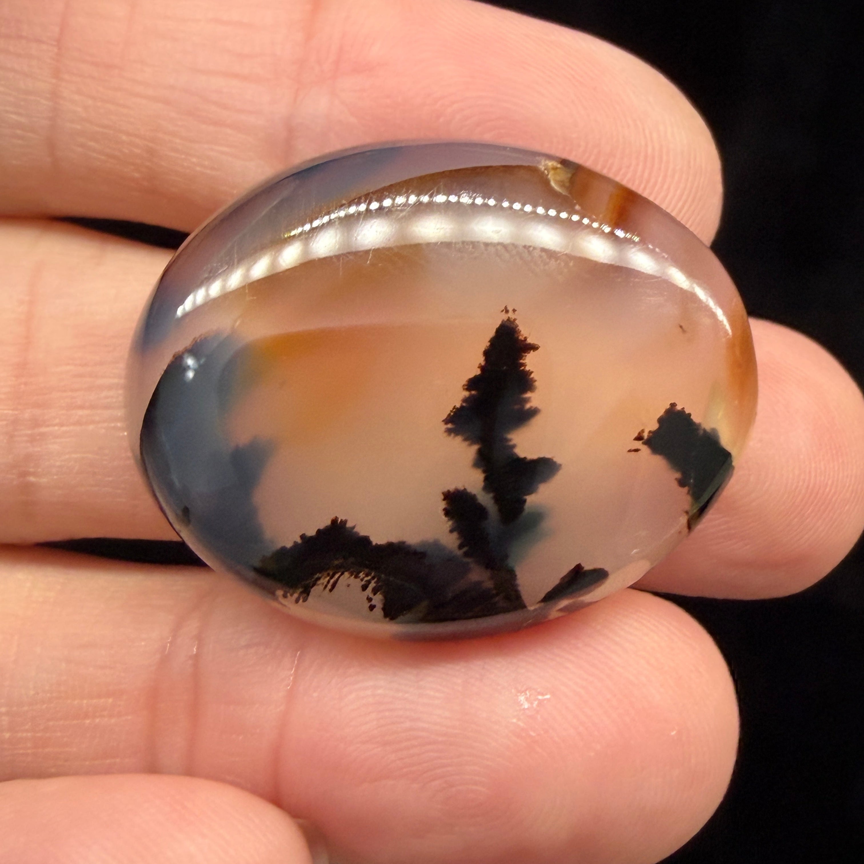 Hand holding a polished agate stone with black and brown patterns against a dark background