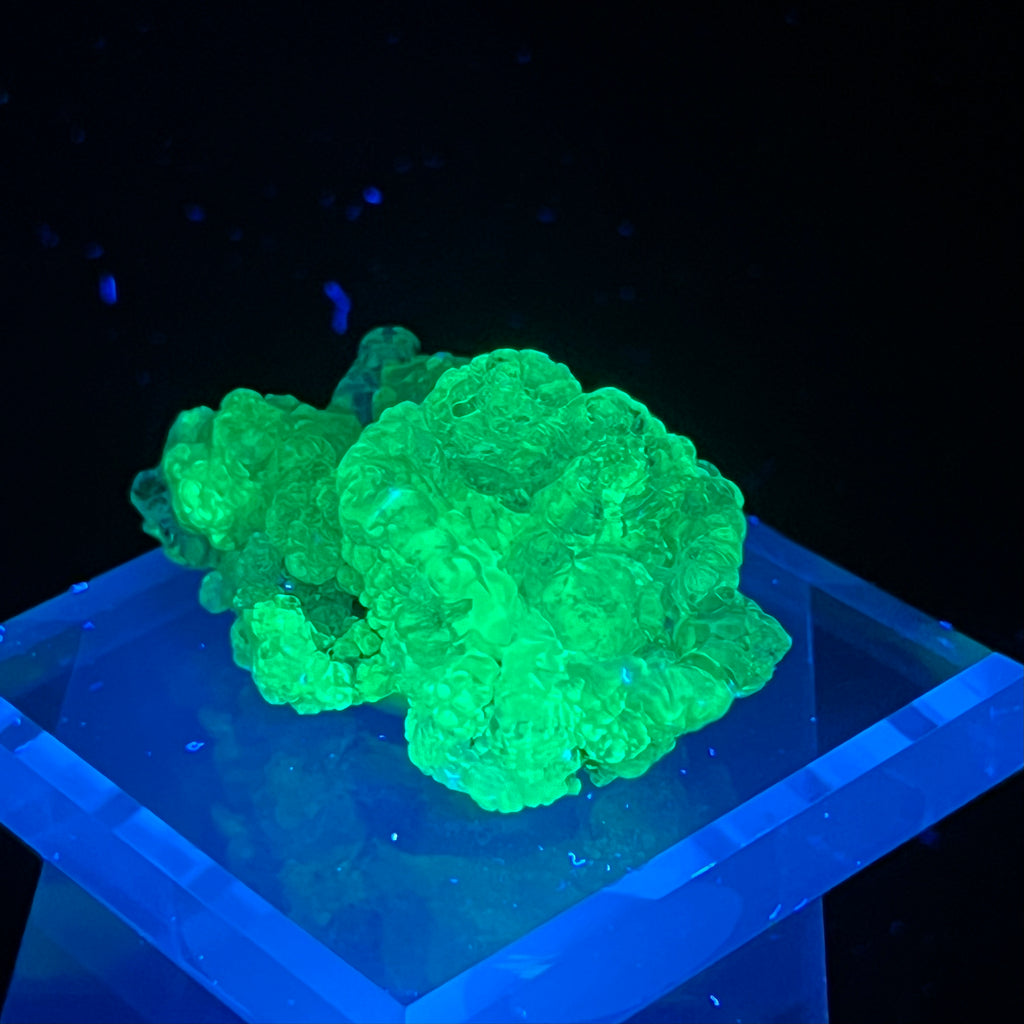 The captivating bright green fluorescent characteristic is what sets this Hyalite variety of Opal apart from other types that show flashes of color. The glow is truly remarkable!
