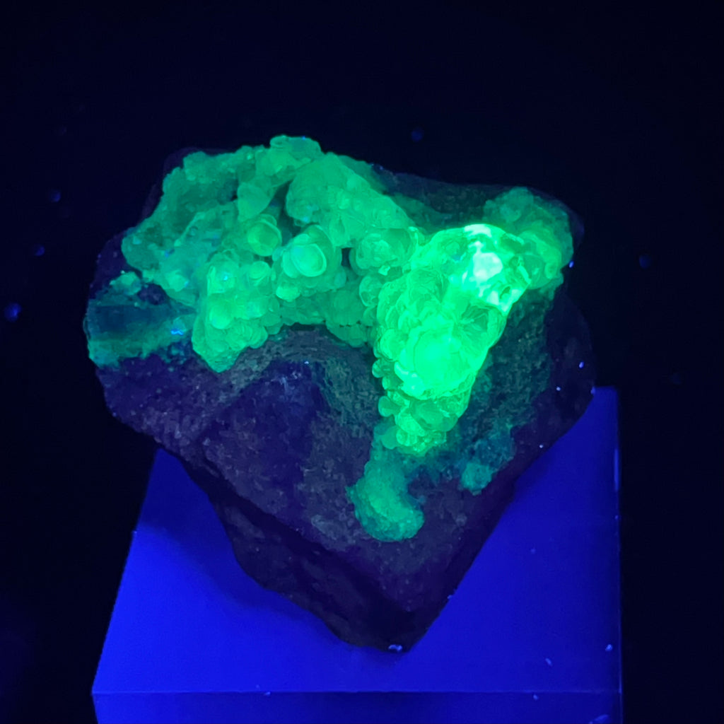 The captivating bright green fluorescent characteristic is what sets this Hyalite variety of Opal apart from other types that show flashes of color. The glow is truly remarkable! 