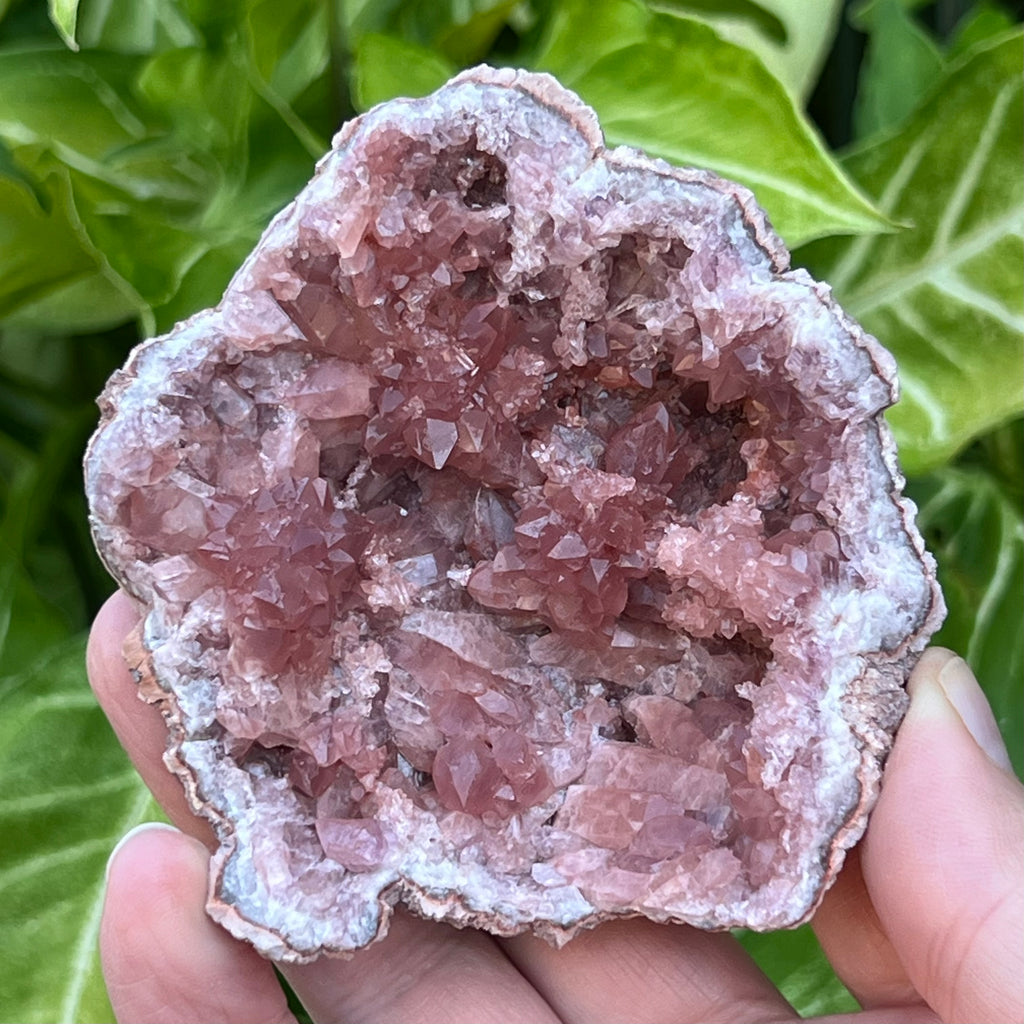 This is a truly excellent Pink Amethyst Crystals Geode with good shine on the faces of the crystals, both on the rosettes and the tabular looking crystals. 