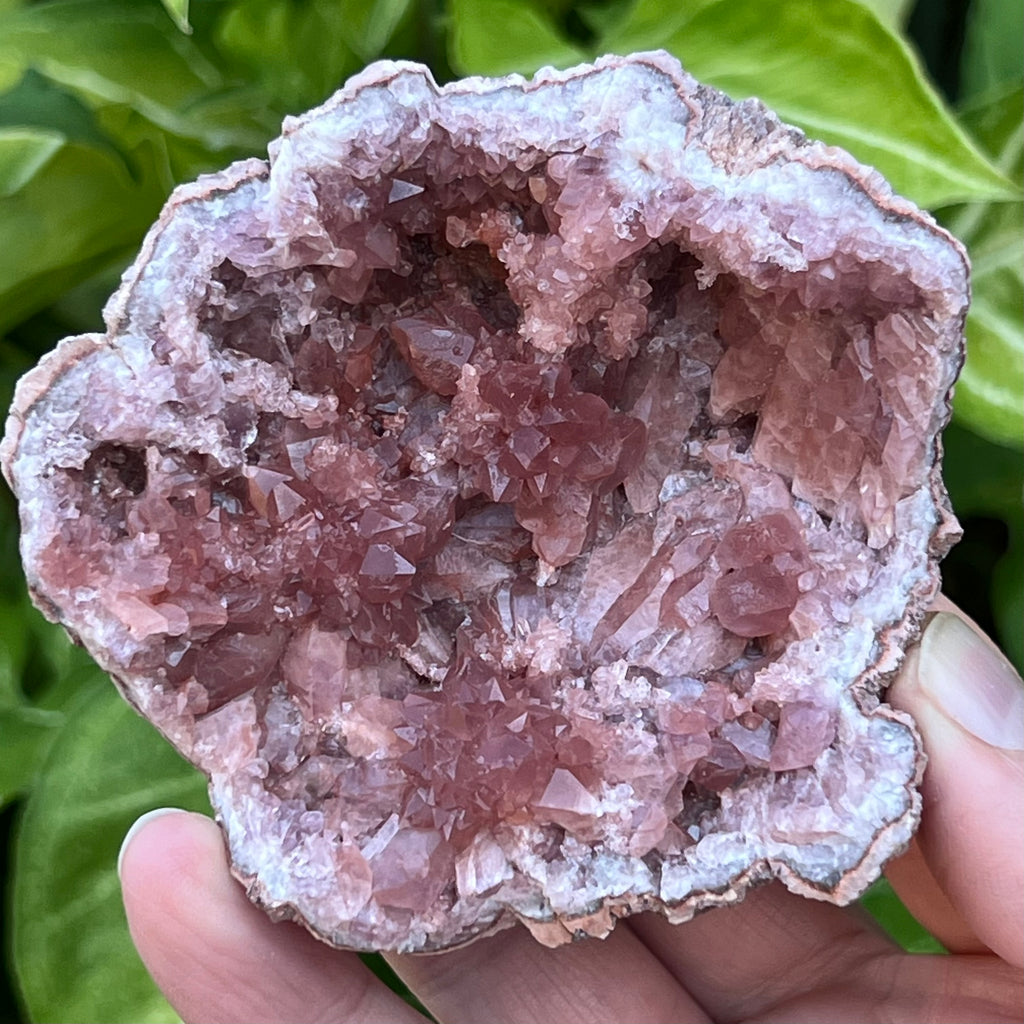 This Pink Amethyst Crystals Geode presents with a very nice contrast between the darker pink rosettes and the tabular looking crystals lying flat in the pocket!