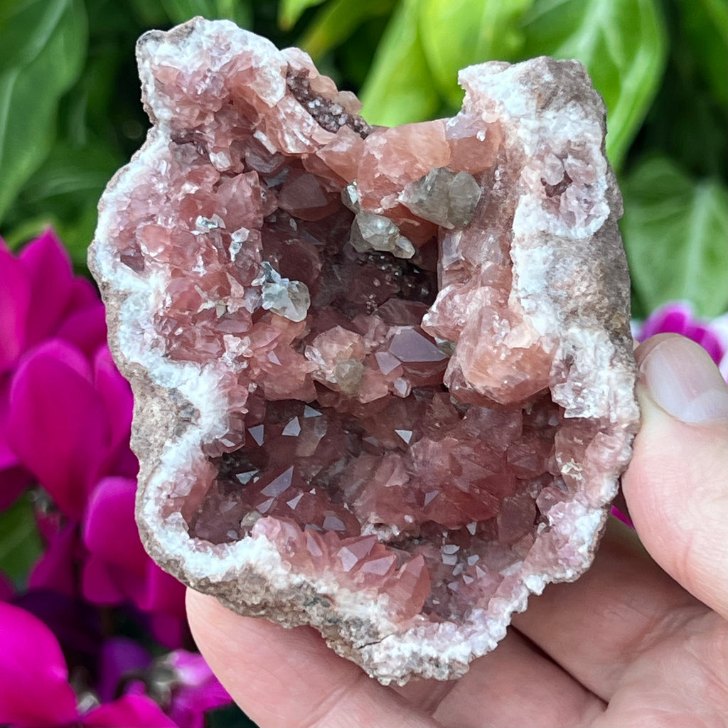 The darker pink hues of the Pink Amethyst in this excellent geode is representative of a higher grade example from the Choique Mine, Pehuenches-Neuquen, Patagonia, Argentina