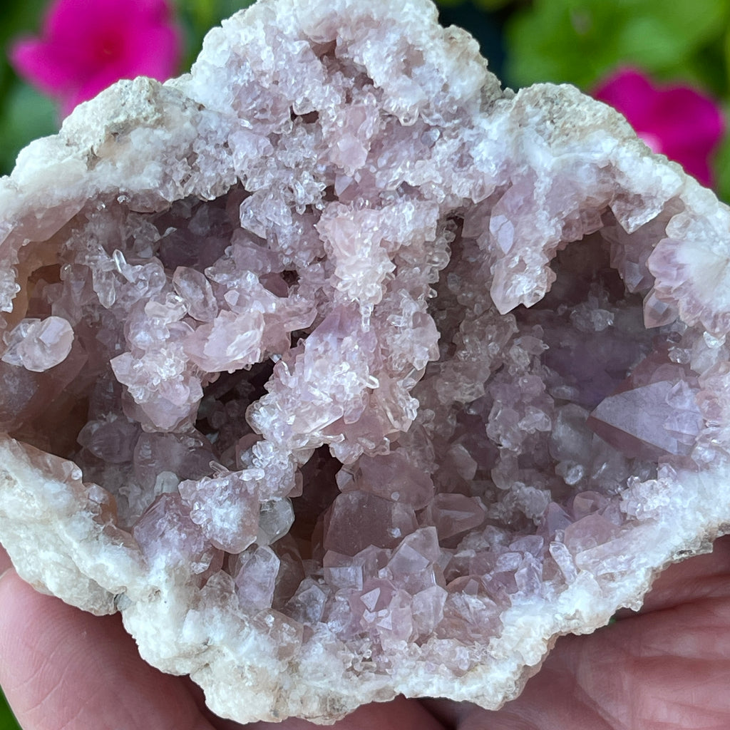 The 172 grams side of this geode presents primarily with clusters of small Pink Amethyst Crystals in less common bridge formations. 