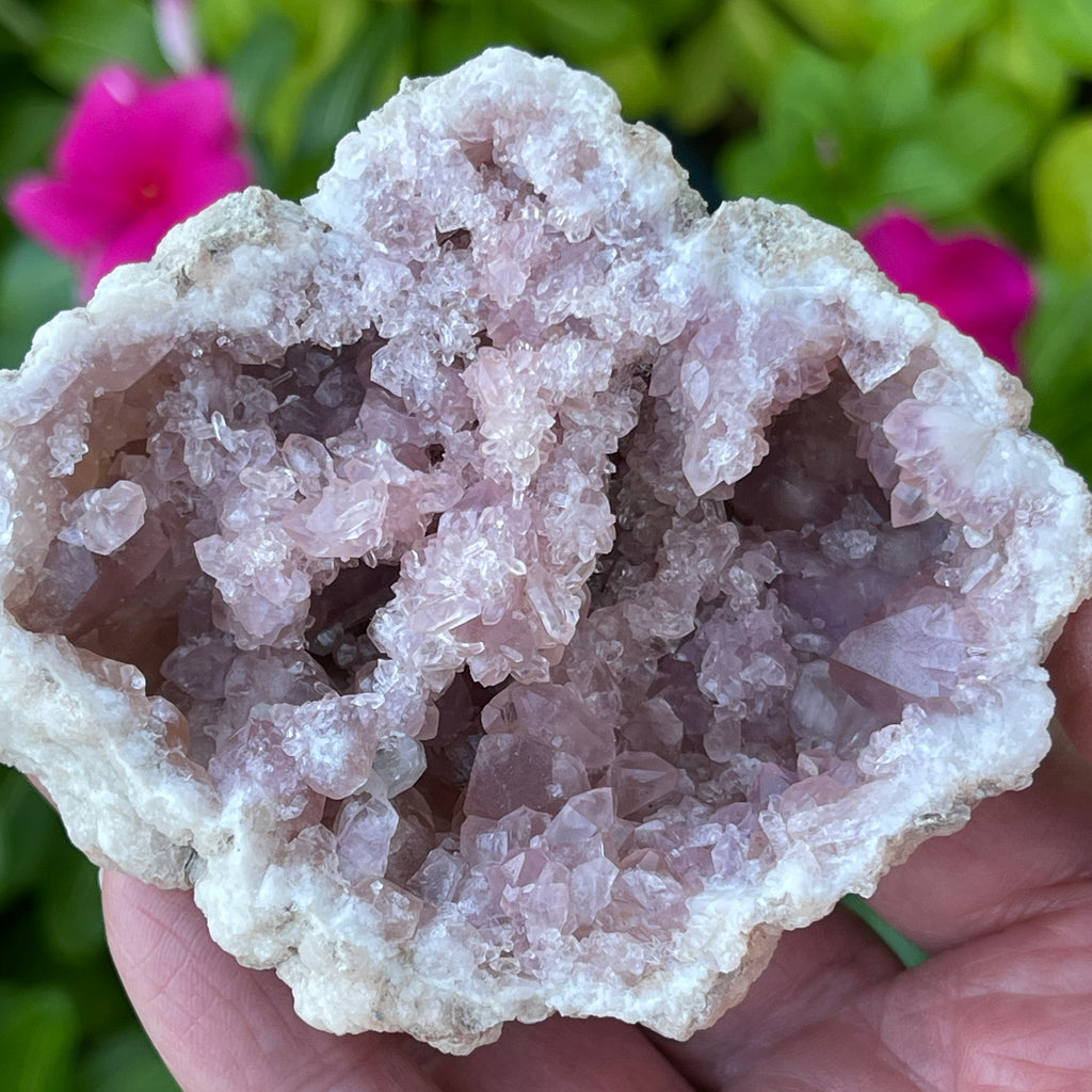 Along with rosette and bridge formations, double-terminated Pink Amethyst Crystals present in both sides of this geode.