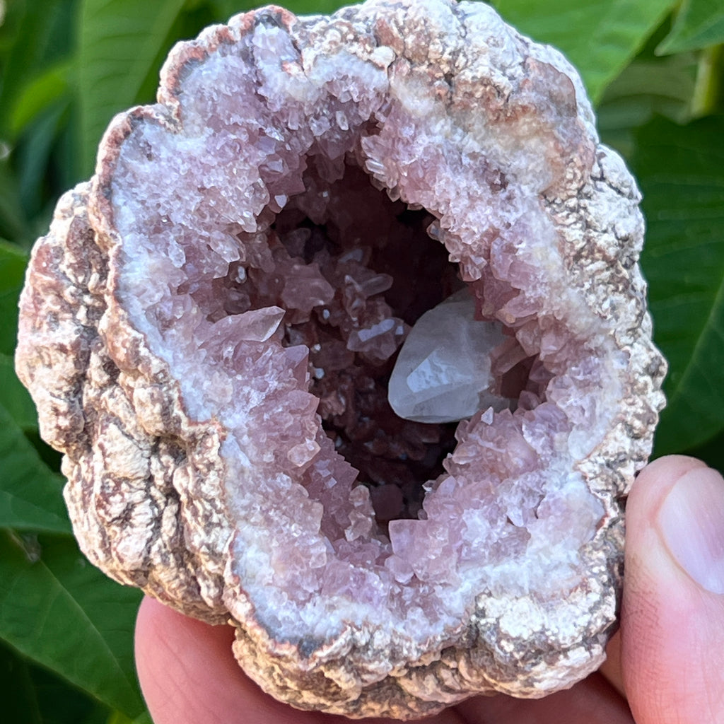 This is a terrific example of two sides of the same gorgeous Pink Amethyst and Calcite crystals geode for your collection or to give a mineral enthusiast collector; family member or friend.