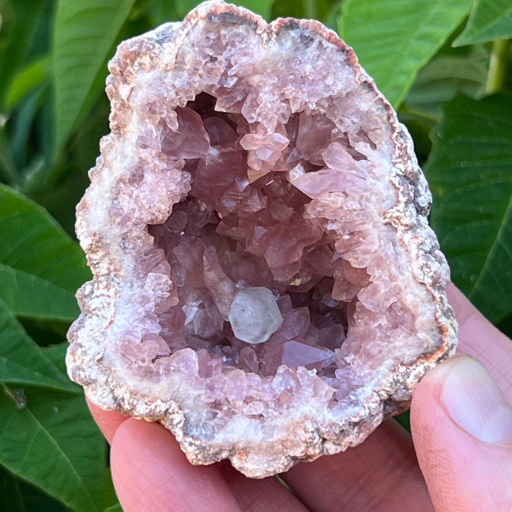 For further details about the fascinating origin, discovery, peer reviewed study and why the appropriate name, Pink Amethyst, was applied to this occurrence of crystals, see the publication, The Mineralogical Record, March-April 2020, Vol. 51, No. 2.