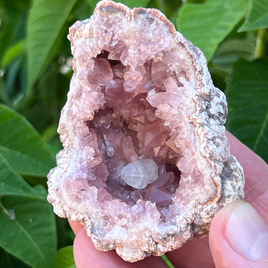  The condition of the facets, faces and terminations, i.e. tips and points of the crystals is also is a very important factor when determining the overall quality of any Pink Amethyst Geode Crystals specimen. 