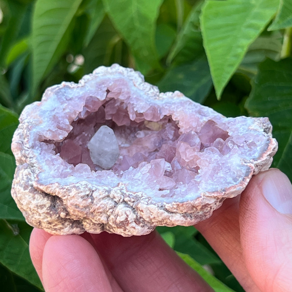 Both the larger and smaller sides of this excellent Pink Amethyst geode exhibit well formed scalenohedral Calcite crystals.