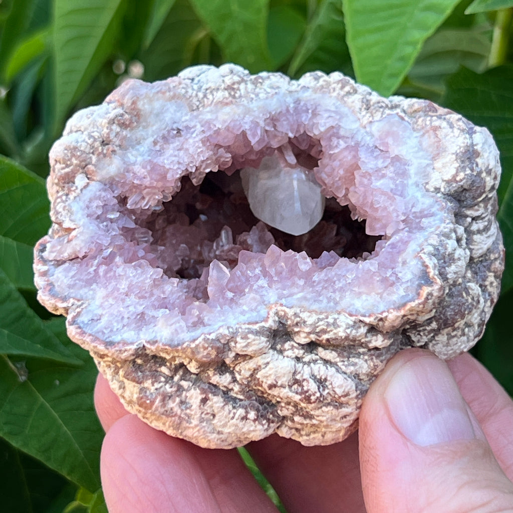 This is a special opportunity to receive both sides of a Pink Amethyst and Calcite crystals geode, a sensational combination of outstanding crystals from the Choique Mine, Pehuenches-Neuquen, Patagonia, Argentina.