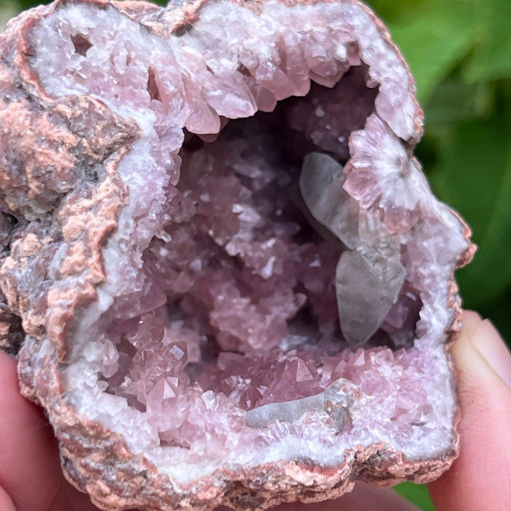  This is a special opportunity to receive both sides of an excellent Pink Amethyst and Calcite crystals geode from the Choique Mine, Pehuenches-Neuquen, Patagonia, Argentina.. 