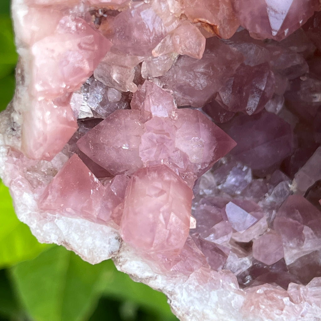 Size matters. Shown here is a rare occurrence of a large, zoned, well formed, double terminated Pink Amethyst crystal in a geode. We don't use the word rare unless absolutely merited, and this exceptional representative of Pink Amethyst, featuring a double terminated crystal over one inch in size, is definitely outside the norm. 