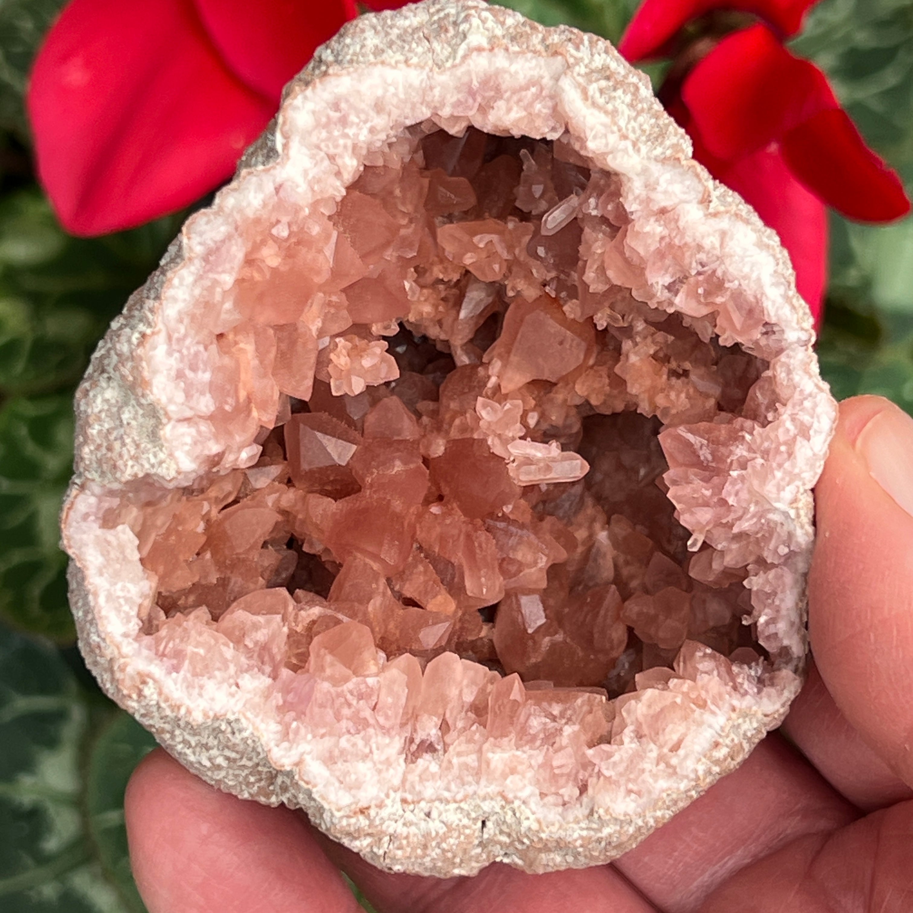  Deeper in the pocket and perched on top of the larger primary crystals are small, gemmy, double terminated secondary growth Pink Amethyst crystals. 