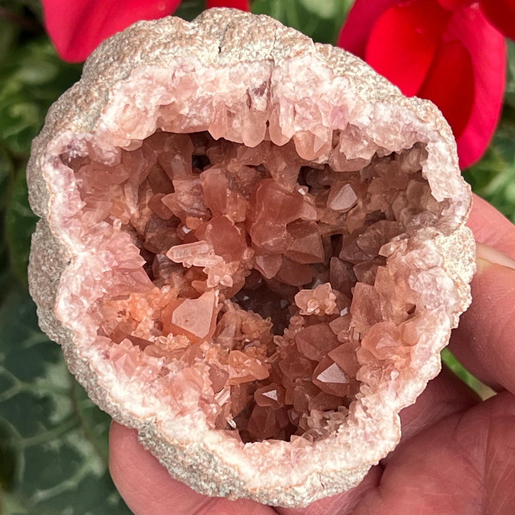 The darker color crystals are representative of a higher quality Pink Amethyst geode specimen.