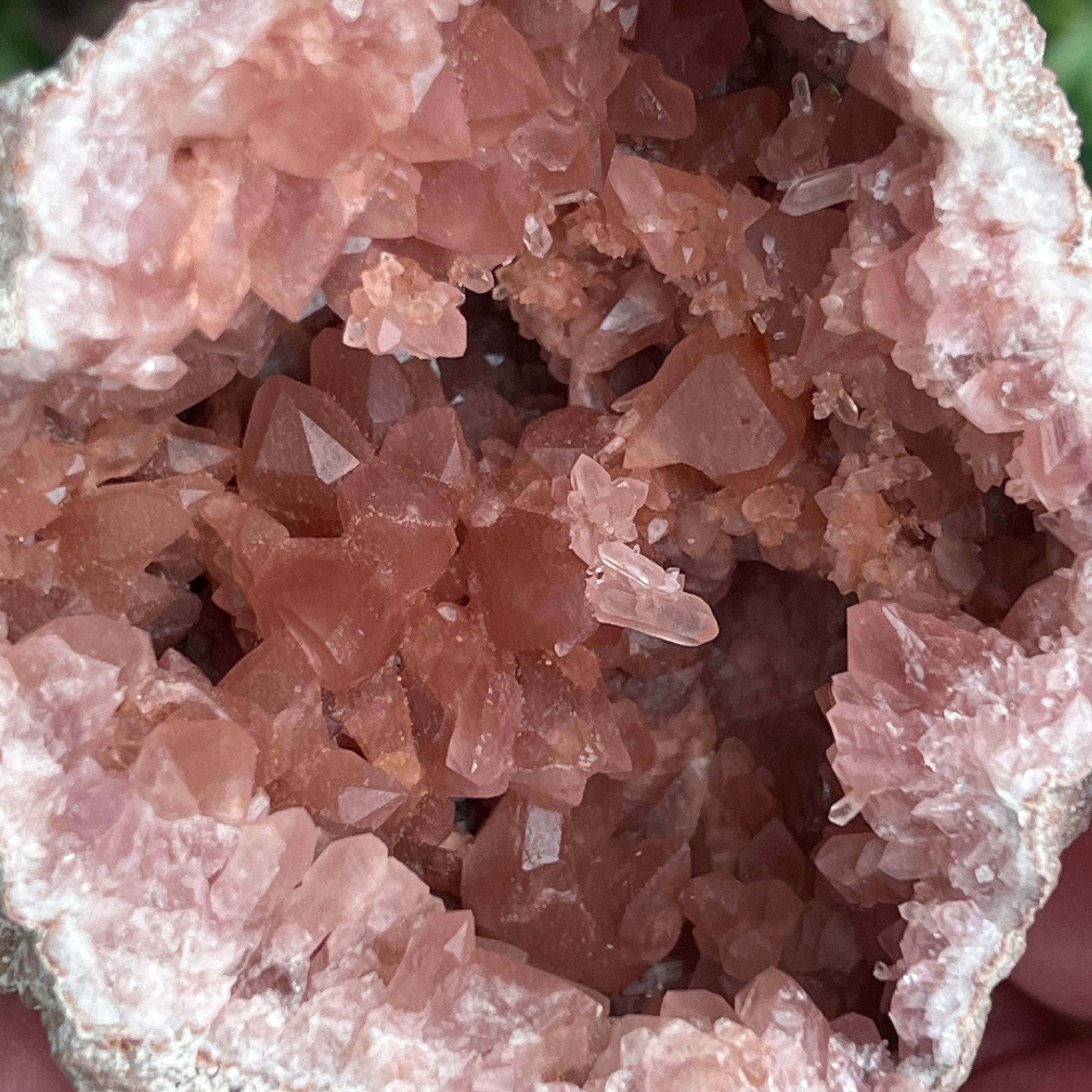 At CrystalRockology we specialize in offering the highest quality Pink Amethyst Crystal Geodes available. Always 100% natural, never treated.
