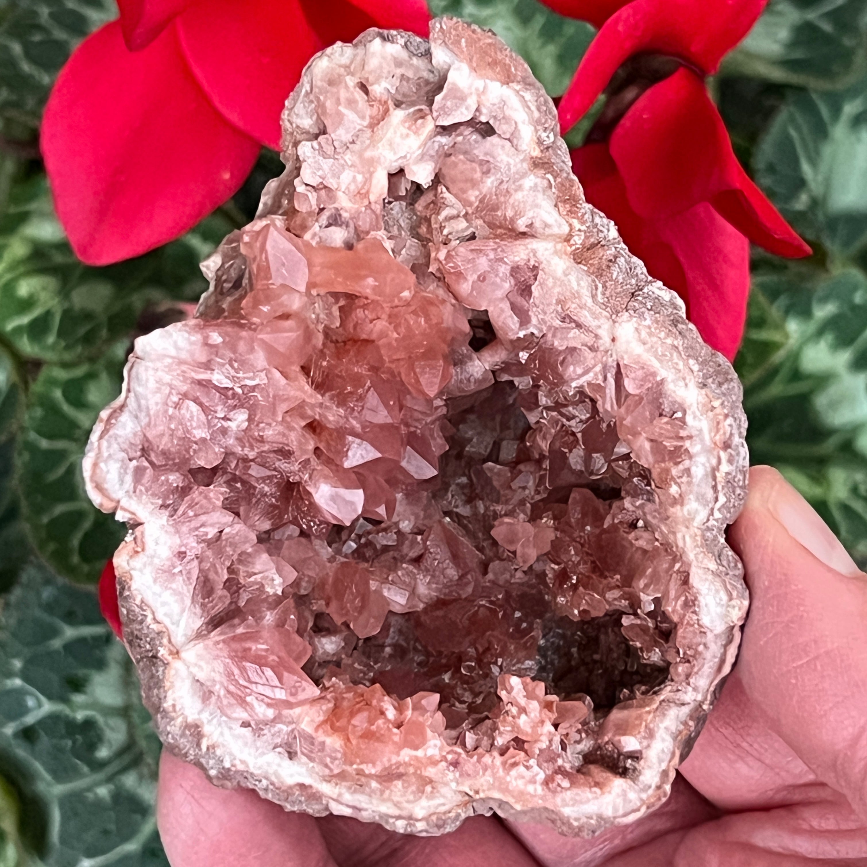 Highest Quality Pink Amethyst Crystal Geodes | Uses
