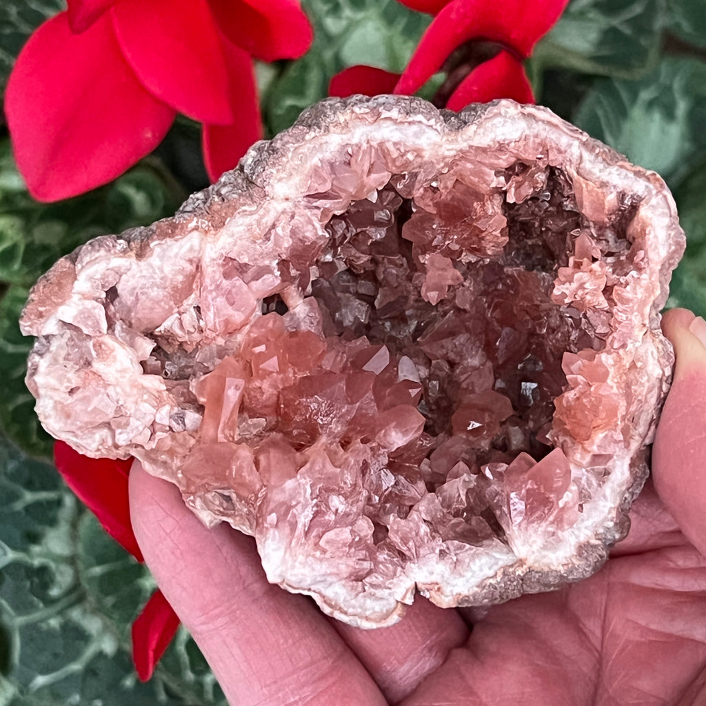  The darker, deep pink color saturation exhibited by the crystals in this piece is representative of a higher quality Pink Amethyst Crystals Geode specimen.