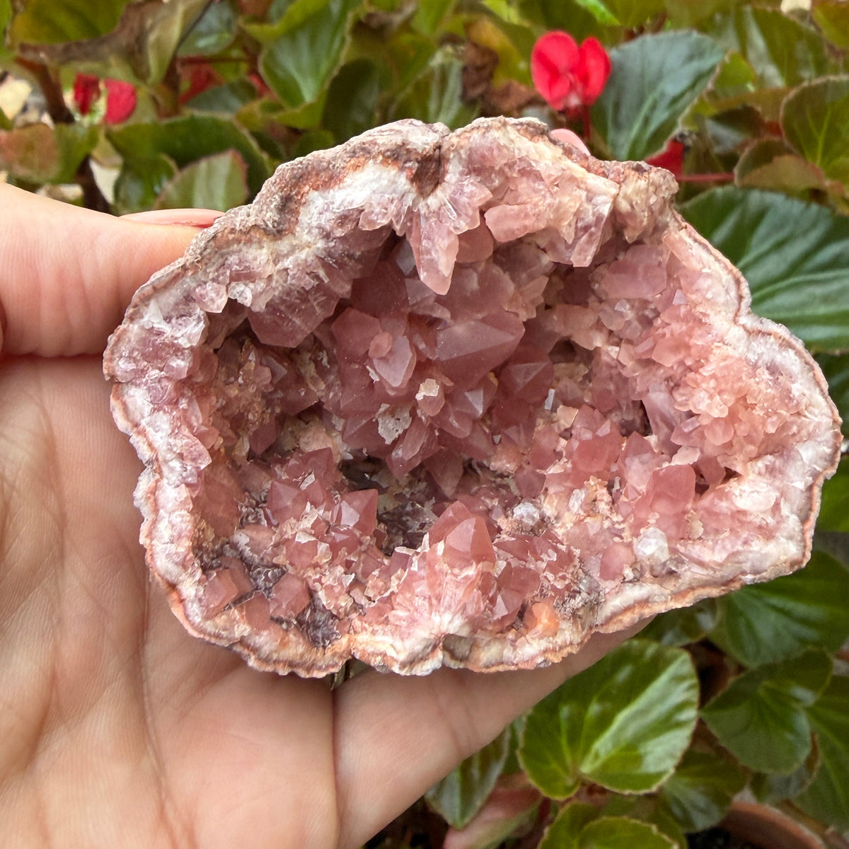 PInk Crystal Geode shown in hand