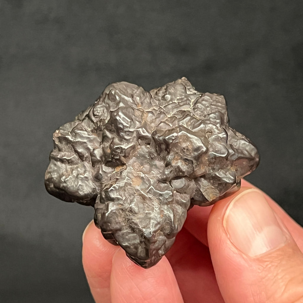 This is an exceptional flower-like Hematite, Goethite Pseudomorph after Marcasite, Pyrite also known as a Prophecy Stone. 