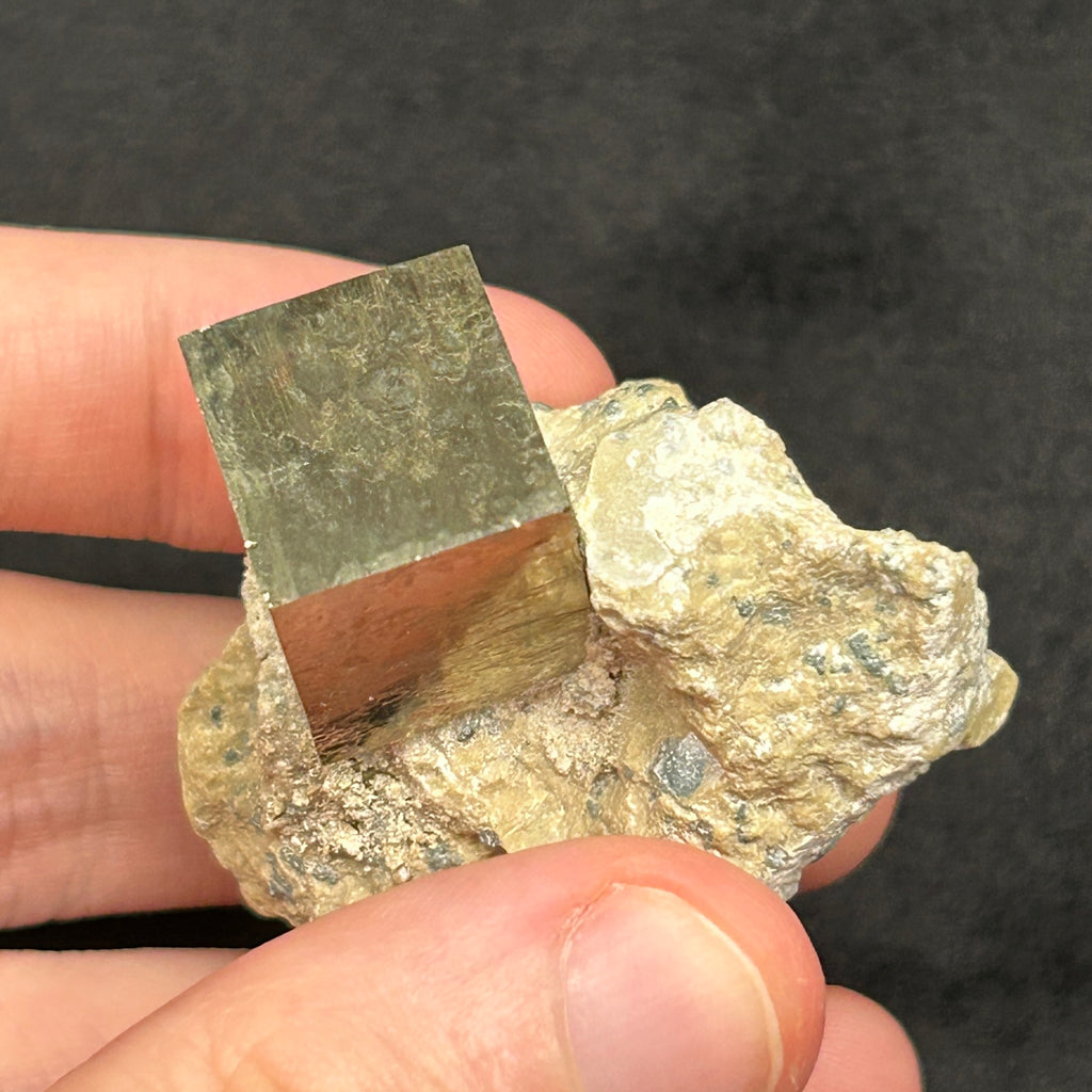 ** This higher quality pyrite cube specimen with excellent edges, faces and mirror luster, (in a limestone matrix) was obtained from a family that carefully extracts some of the best pyrite available in the world from their&nbsp; mine ( Alcarama mountain-chain ) in Navajun. La Rioja, Spain.