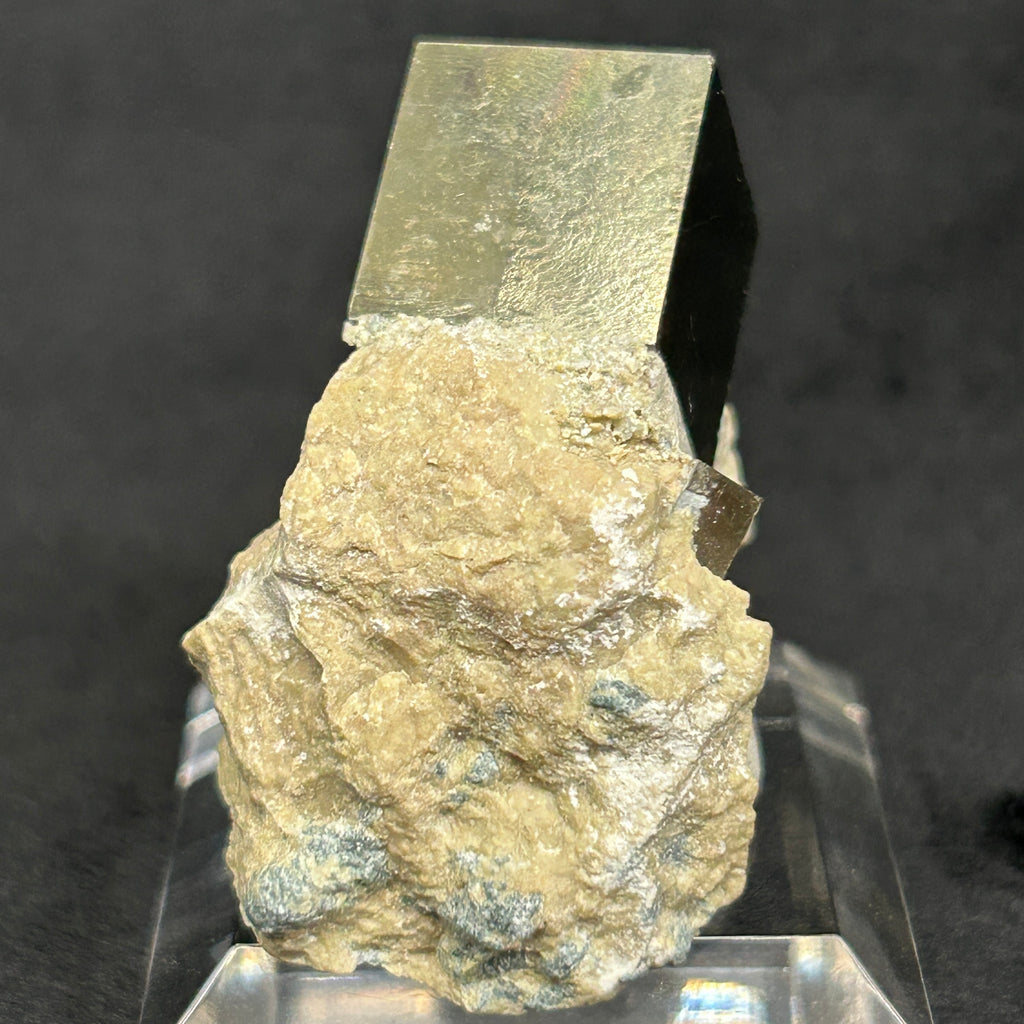 This higher quality pyrite cube specimen with excellent edges, faces and mirror luster, (in a limestone matrix) was obtained from a family that carefully extracts some of the best pyrite available in the world from their mine ( Alcarama mountain-chain ) in Navajun. La Rioja, Spain.