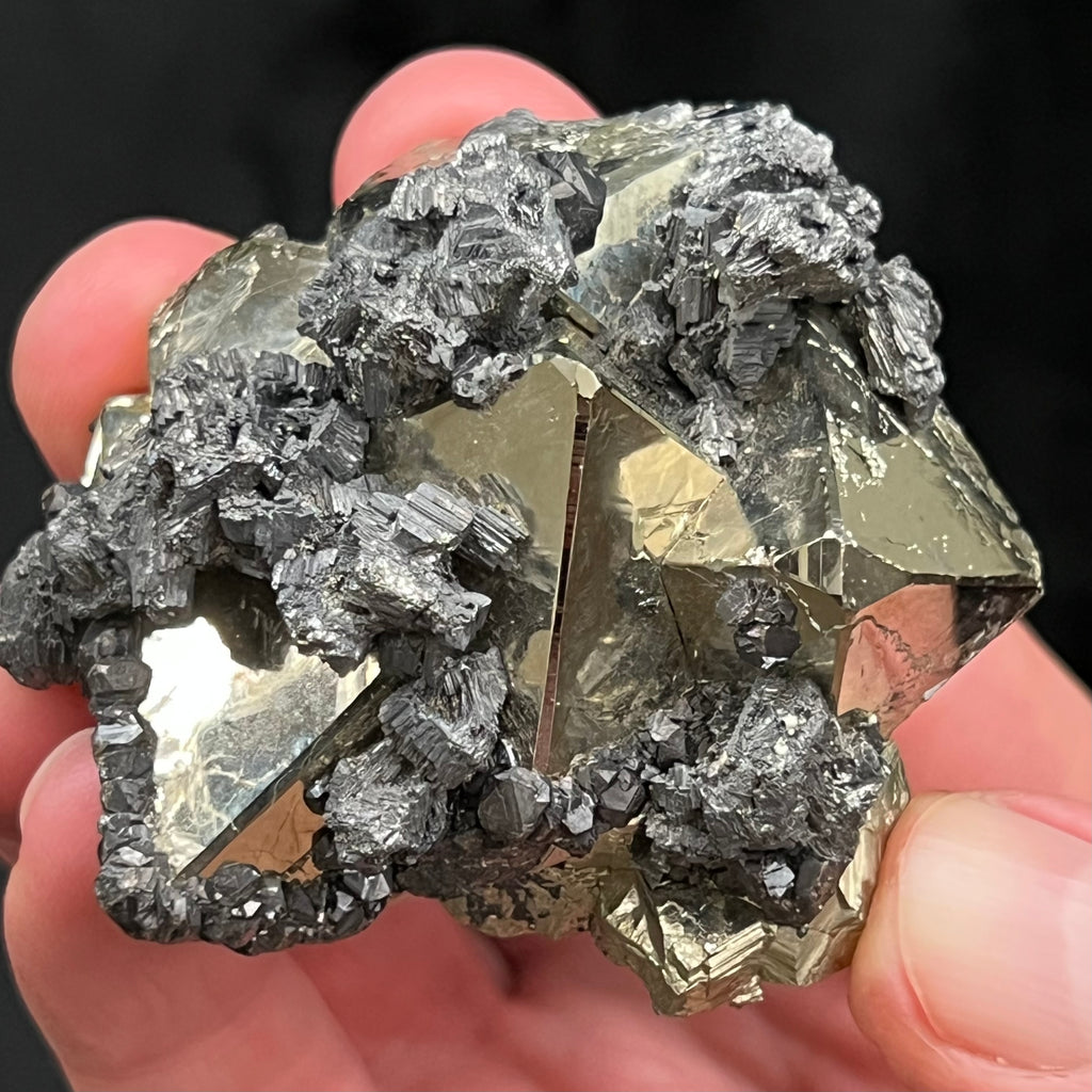 Abundant, fascinating stepped, etched and folded looking Galena is growing on and all around the well formed Pyrite. The source for this fine Pyrite is the Huanzala Mine, Huallanca, Bolognesi Province, Ancash, Peru.