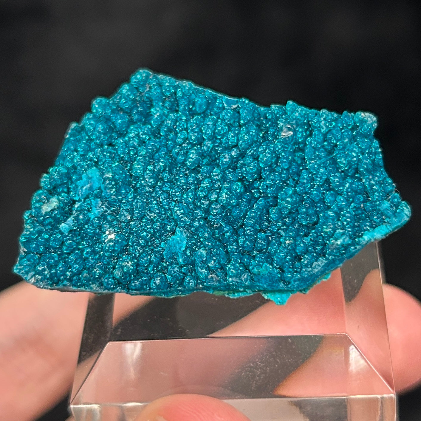 Chrysocolla Vivid Blue Cunyari Peru Mineral 9grams