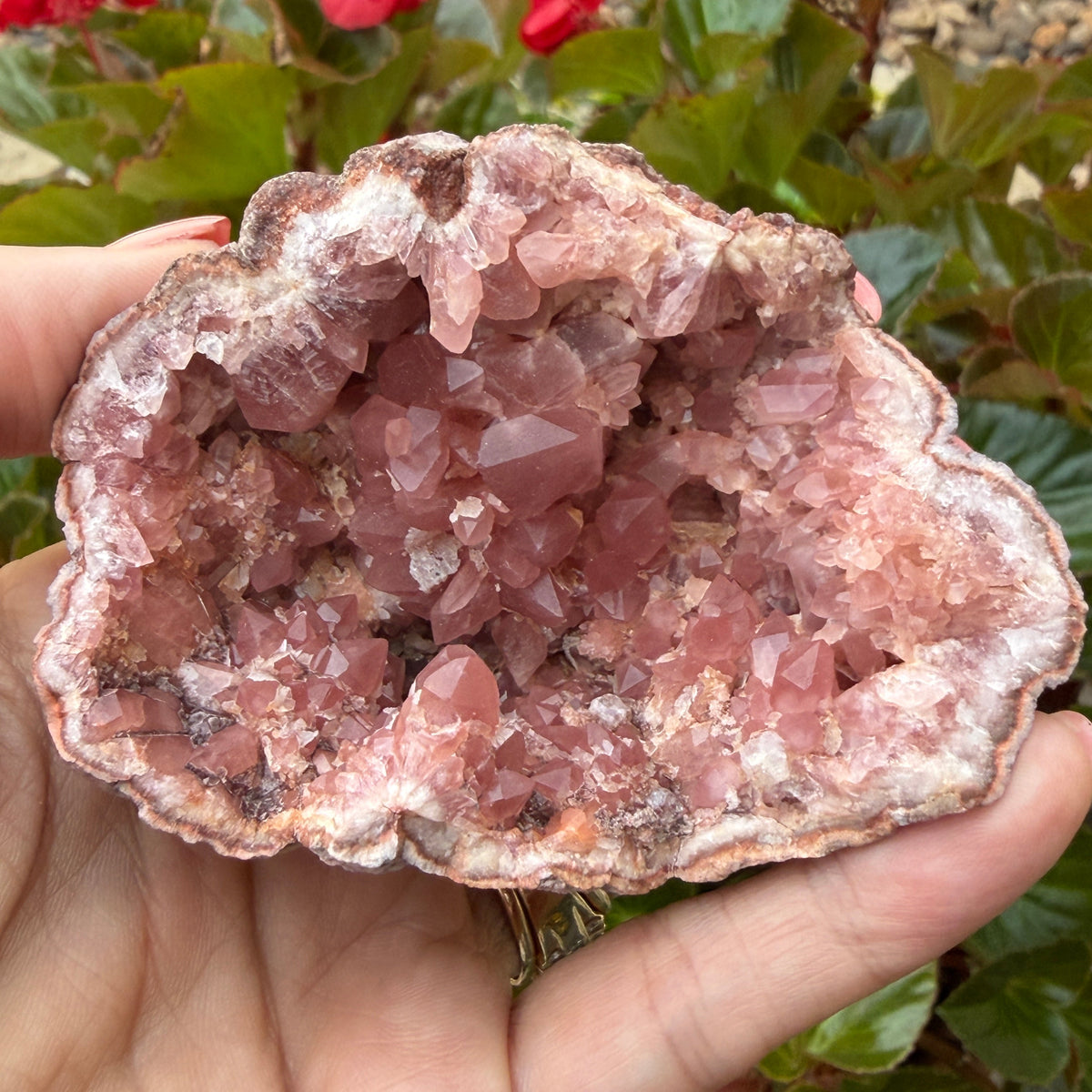 Pink Crystals
