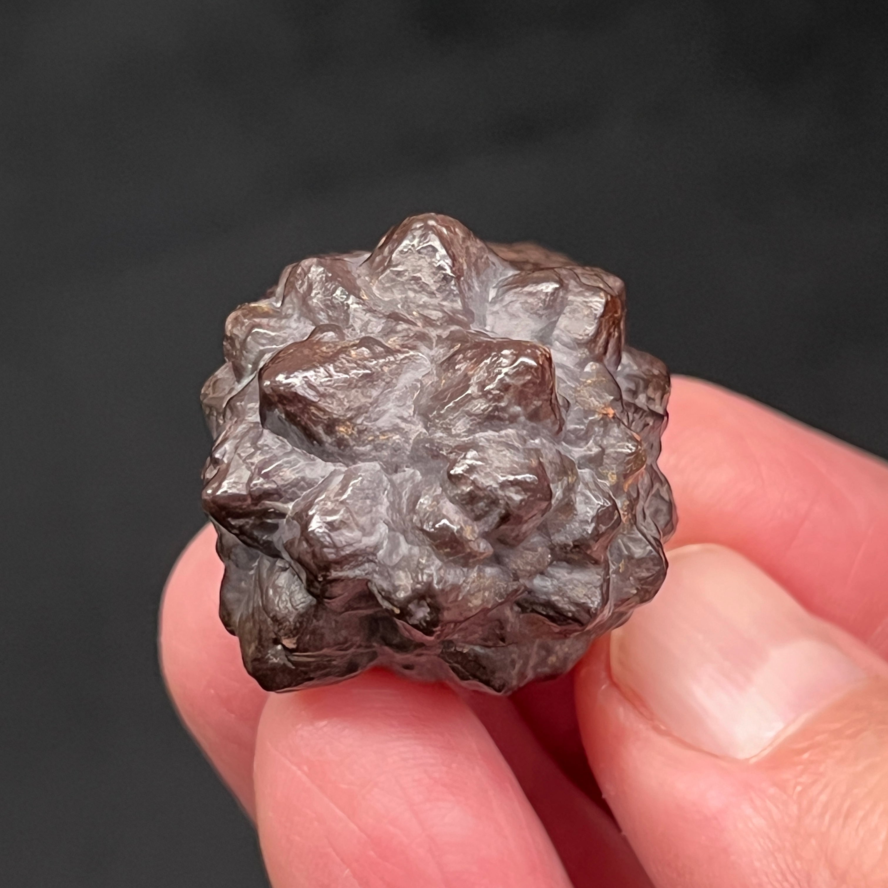 Here is another angle of this cool, flower-like Prophecy Stone.  Many of our mineral collector friends just can't seem to get enough of these in their collections. 