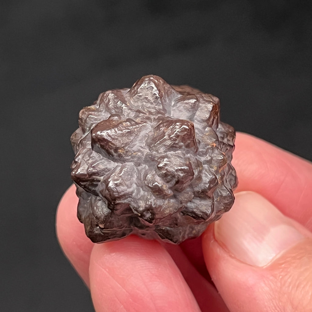 Here is another angle of this cool, flower-like Prophecy Stone.  Many of our mineral collector friends just can't seem to get enough of these in their collections. 