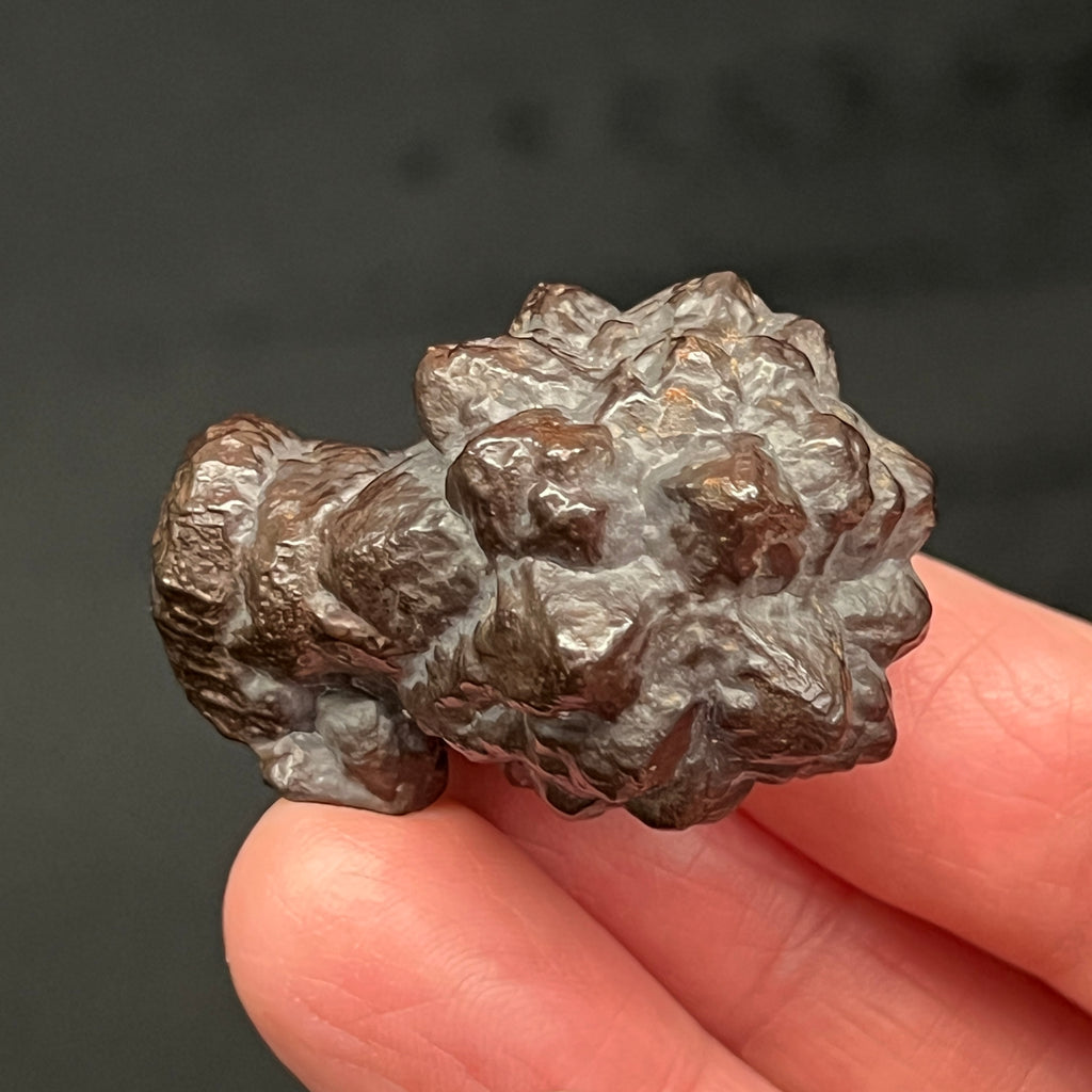 Showing with an overall stemmed, beautiful flower-like presence, here is another view of this combo pyramidal and hexagonal form Prophecy Stone.