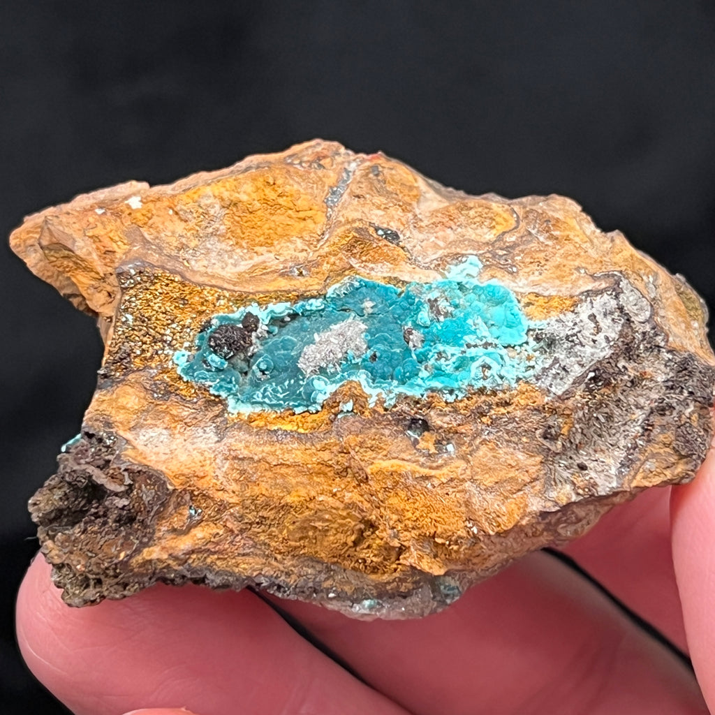 This is a beautiful Rosasite with Hemimorphite on Limonite minerals specimen from the Ojuela Mine, Mapimi Municipality, Durango, Mexico.